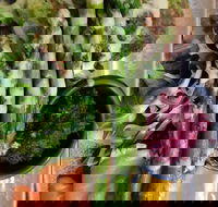 Stone cold - Accommodation Sunshine Coast