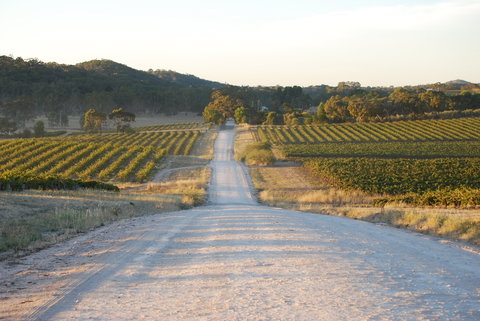 Stone Bridge Wines - Accommodation Sunshine Coast 0
