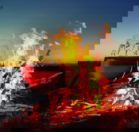 Black Dog Brewery - Accommodation Sunshine Coast