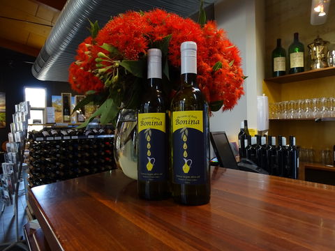 Bonina Olive Grove - Accommodation Sunshine Coast 0