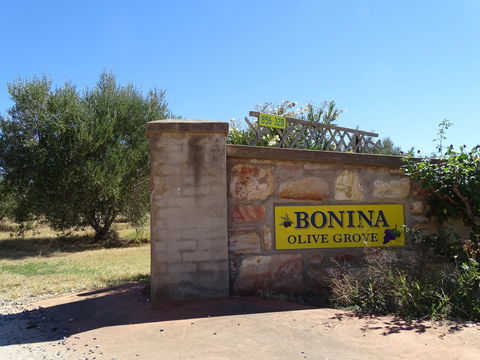 Bonina Olive Grove - Accommodation Sunshine Coast 1