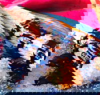 Donut King - Tarneit - Accommodation Sunshine Coast