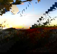 Glenbosch Wine Estate - Accommodation Sunshine Coast