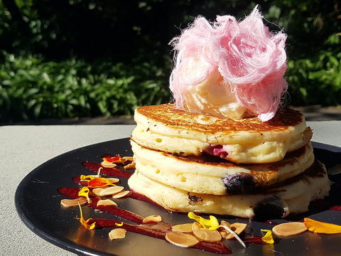 Darwin's - Accommodation Sunshine Coast 0