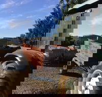 Massena - Accommodation Sunshine Coast