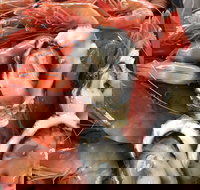 Mi Shells Seafood - Accommodation Sunshine Coast