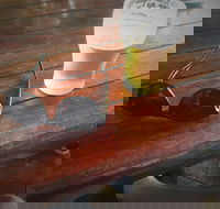 Samford Valley Hotel - Accommodation Sunshine Coast