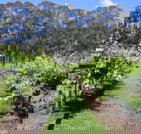 Woongooroo Estate Winery - Accommodation Sunshine Coast