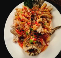 Dumpling Parlour - Accommodation Sunshine Coast