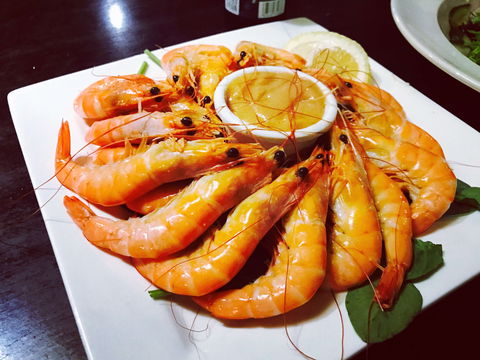Foxy's - Accommodation Sunshine Coast 0