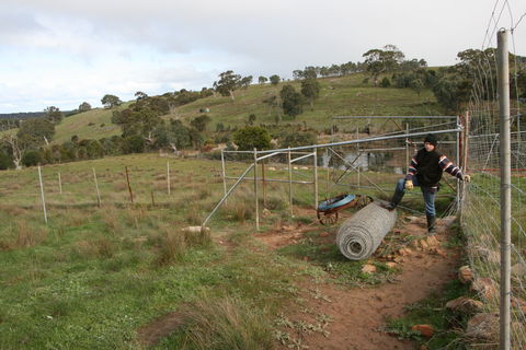 Hahndorf Venison - Accommodation Sunshine Coast 1