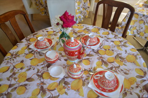 Lazy Teas - Accommodation Sunshine Coast 2