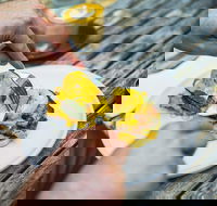 Travelling Bandit - Accommodation Sunshine Coast