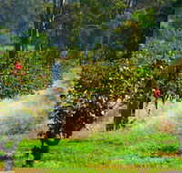 The Red Apron Gourmet Kitchen - Accommodation Sunshine Coast