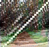 The Field of Dreams Cafe - Accommodation Sunshine Coast