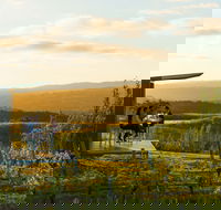 The Lane Vineyard - Accommodation Sunshine Coast