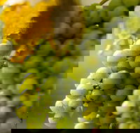 Affleck Vineyard - Accommodation Sunshine Coast