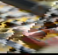 Walker's Doughnuts - Airport West - Accommodation Sunshine Coast