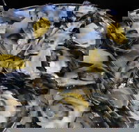 View 42o - Accommodation Sunshine Coast