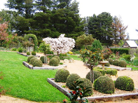 The Scented Rose Garden And Teahouse - Accommodation Sunshine Coast 2