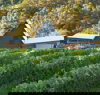Two Bud Spur Vineyard - Accommodation Sunshine Coast