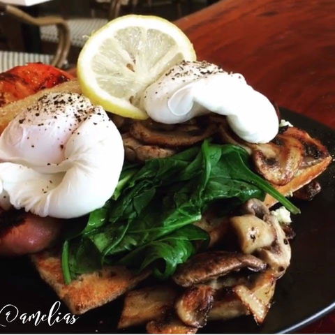 Amelia's Bakery - Accommodation Sunshine Coast 0
