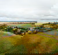 Pettavel Wines - Accommodation Sunshine Coast