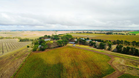 Pettavel Wines - Accommodation Sunshine Coast 0