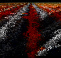 Sandhurst Ridge - Accommodation Sunshine Coast