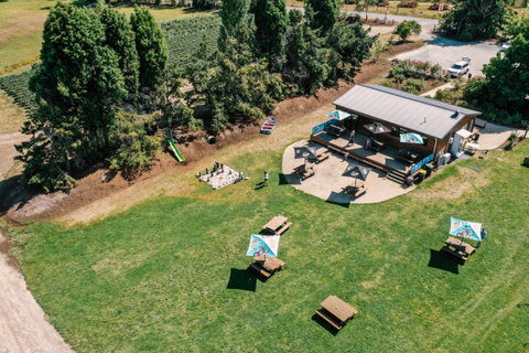 Hillwood Berries Farmgate & Pick Your Own - Accommodation Sunshine Coast 1