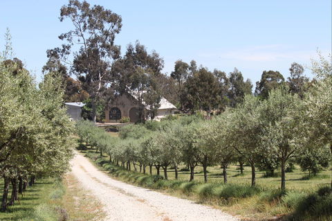 L'Oliveraie Olive Grove - Accommodation Sunshine Coast 0