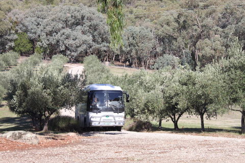 L'Oliveraie Olive Grove - Accommodation Sunshine Coast 2