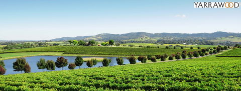 Yarrawood Estate - Accommodation Sunshine Coast 2