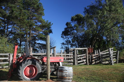 Joadja Estate - Accommodation Sunshine Coast 1