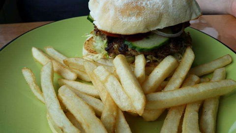 Hungry Wombat Cafe - Accommodation Sunshine Coast 0