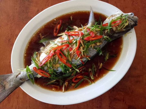 Kuching Corner - Accommodation Sunshine Coast 0