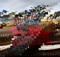 The Shiraz Republic - Accommodation Sunshine Coast