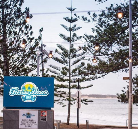 Anchovy - Accommodation Sunshine Coast 2