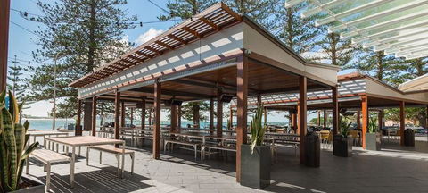 Anchovy - Accommodation Sunshine Coast 8