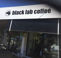 Black Lab Coffee - Accommodation Sunshine Coast