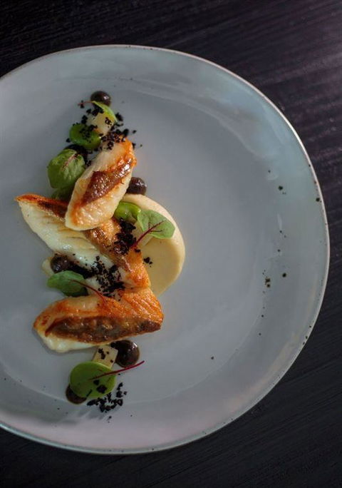 Allium Restaurant & Bar - Accommodation Sunshine Coast 7
