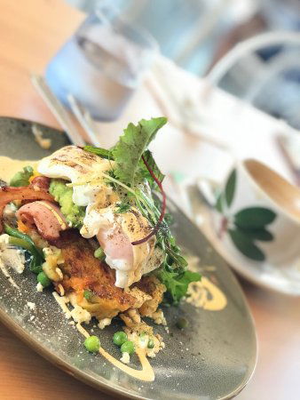 Gather And Feast - Accommodation Sunshine Coast 0