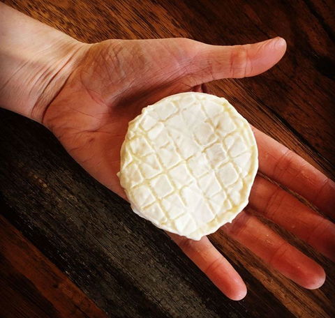 Greasy Zoes - Accommodation Sunshine Coast 13