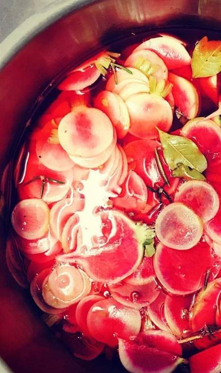 Greasy Zoes - Accommodation Sunshine Coast 4