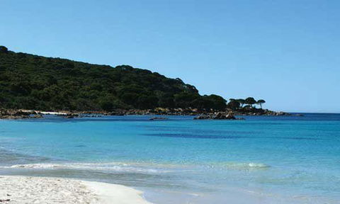 Bunkers Beach House - Accommodation Sunshine Coast 10