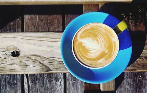 Bunkers Beach House - Accommodation Sunshine Coast 16