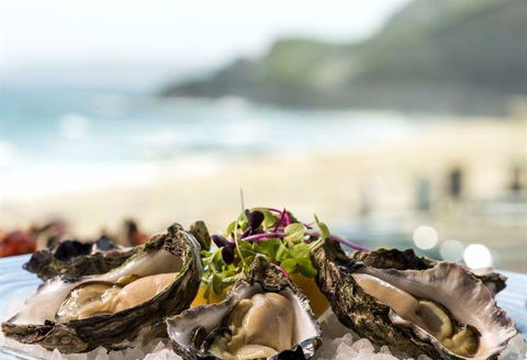 Tinto Thai - Accommodation Sunshine Coast 5