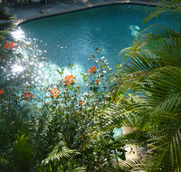 Avoca Beach Hotel - Accommodation Sunshine Coast