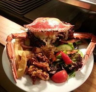 Safari Club Bar  Grill - Accommodation Sunshine Coast