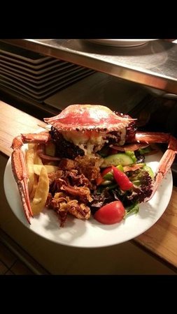 Safari Club Bar & Grill - Accommodation Sunshine Coast 0